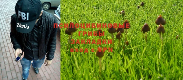 мяу мяу мука Баксан