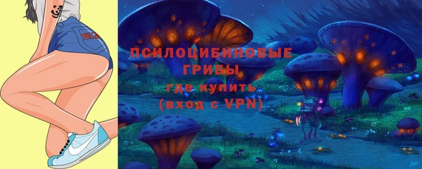 мяу мяу мука Баксан