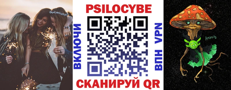 Галлюциногенные грибы Psilocybe  Севск 